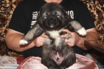 мальчик 1 мес